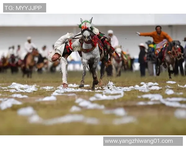 那曲与拉萨足球比赛精彩直播全程回顾与赛后分析